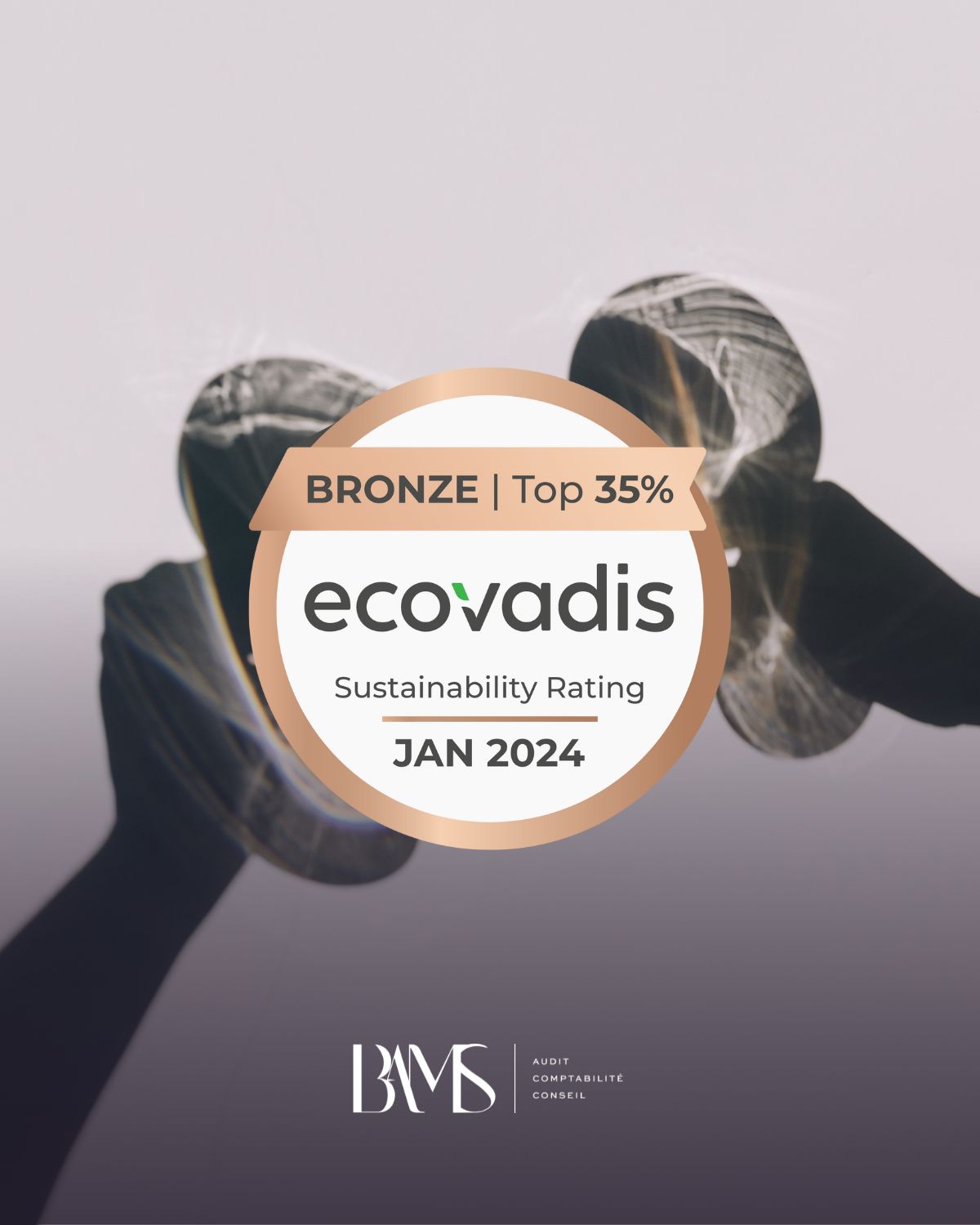 🥉 Médaille de bronze EcoVadis pour BAMS