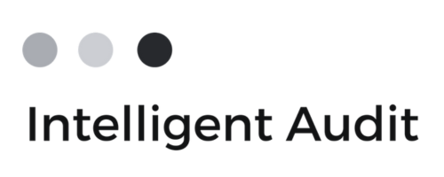 Intelligent Audit